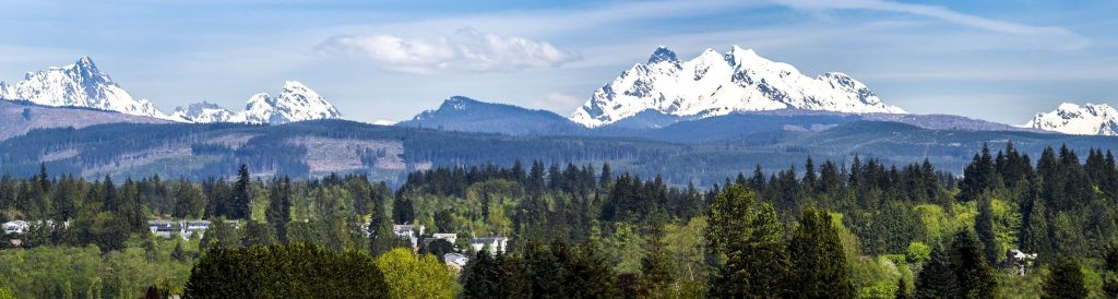 Arlington Washington Real Estate